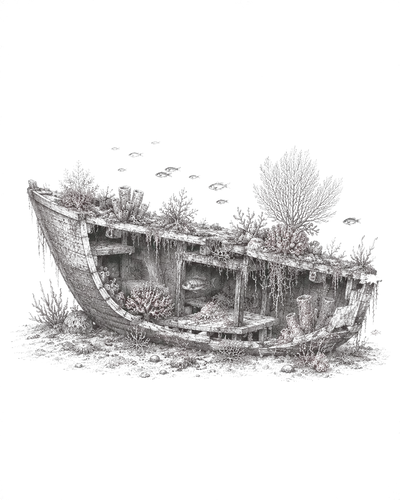 Coque devenue récif